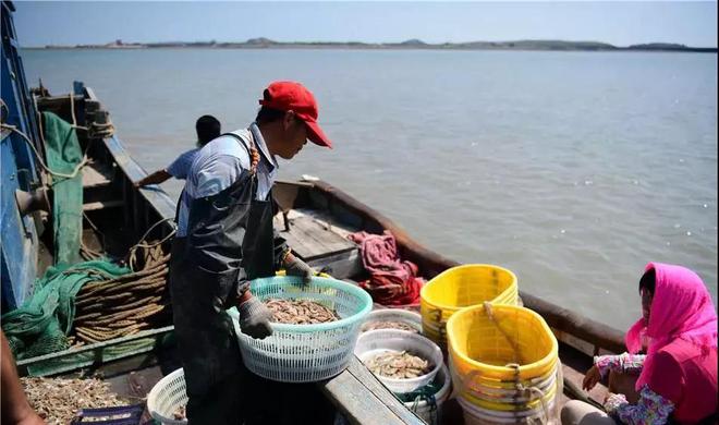 為什么不允許江船入海海船卻可以入江？江船入海有什么后果？(圖8)