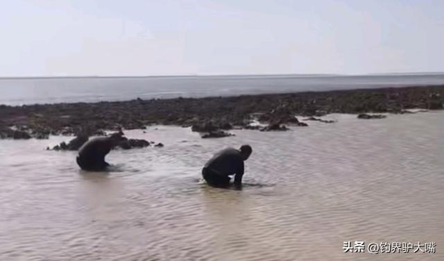 江西男子釣魚打龜一怒之下下水摸魚網(wǎng)友：不講武德(圖6)
