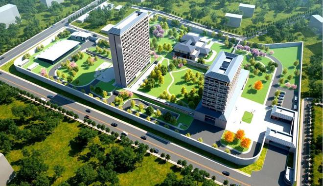 揚(yáng)帆“一帶一路”！中國中冶一大批海外項目取得重大突破(圖1)