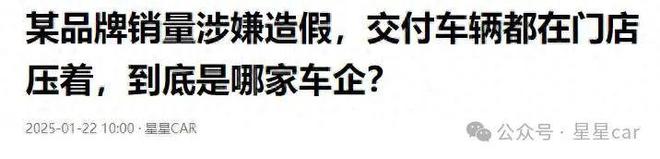 回應(yīng)訂單量造假樂(lè)道汽車(chē)副總裁夏慶華表示L60上市后遭人嫉恨(圖1)