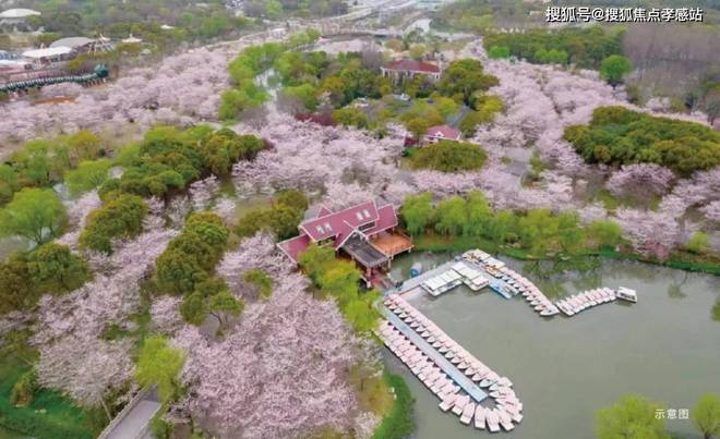 寶山時代樂章網(wǎng)站-招商時代樂章(2025·最新)樓盤詳情(圖21)