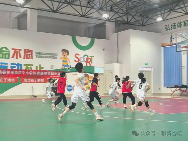 2025年聊城高新區(qū)中小學(xué)生體育聯(lián)賽籃球、排球比賽圓滿落下帷幕(圖1)