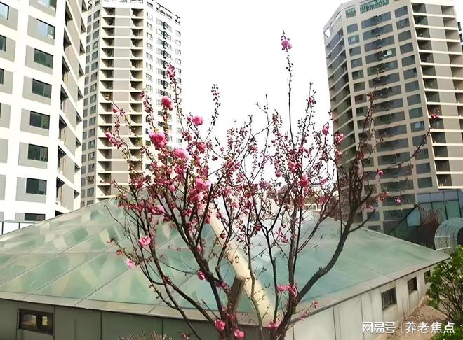 Im體育網站：2025年北京金手杖國際養(yǎng)老公寓全面整理：收費標準地址導航電話(圖4)