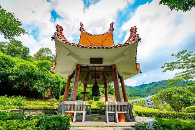 特長生相關(guān)問題合集(圖11)